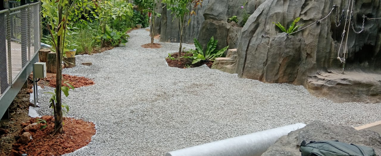 Landscaping - After